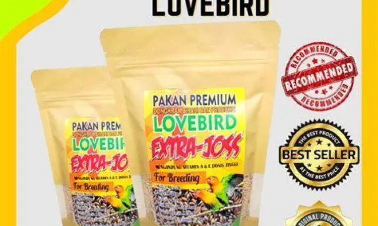 Koleksi rempah-rempah untuk bumbu gulai ikan