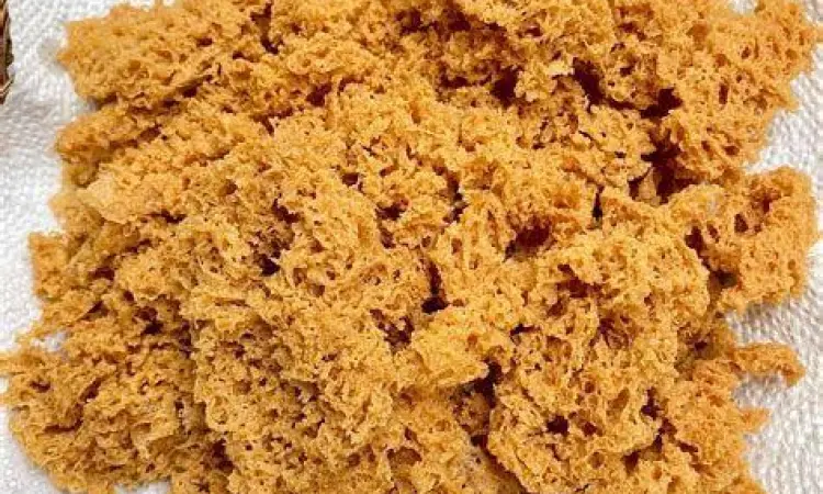 Tekstur Kremesan Sempurna Detail tekstur kremesan ayam yang bersarang dan renyah