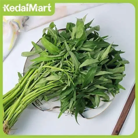 Kangkung Darat Segar Kangkung darat segar untuk bahan cah kangkung