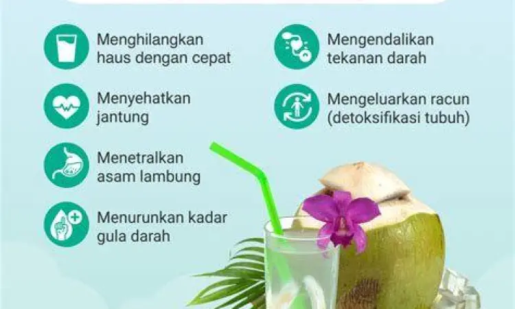 Manfaat Air Kelapa Muda Air kelapa muda segar dalam batok kelapa