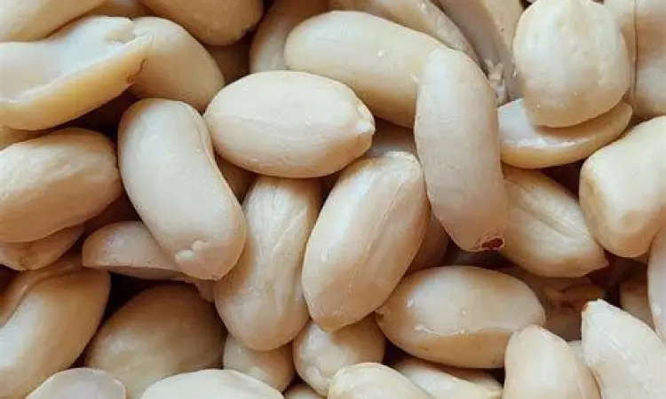 Memilih Kacang Tanah Berkualitas Proses pemilihan kacang tanah kupas bersih