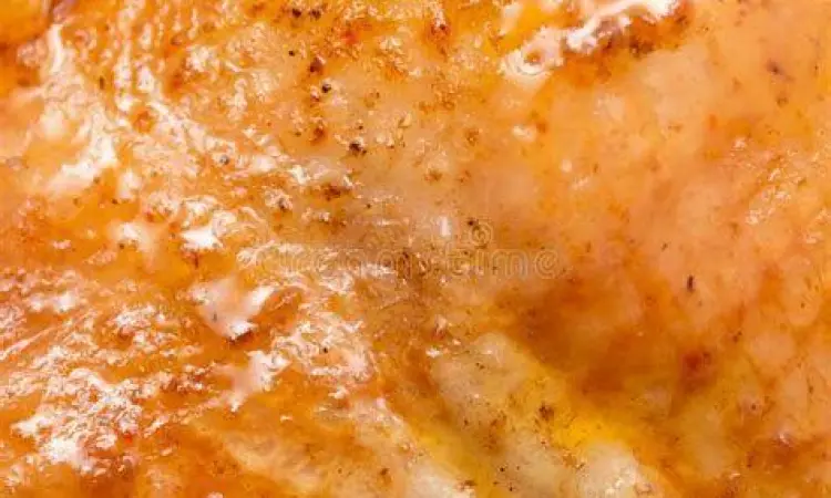 detail kulit ayam bakar yang juicy