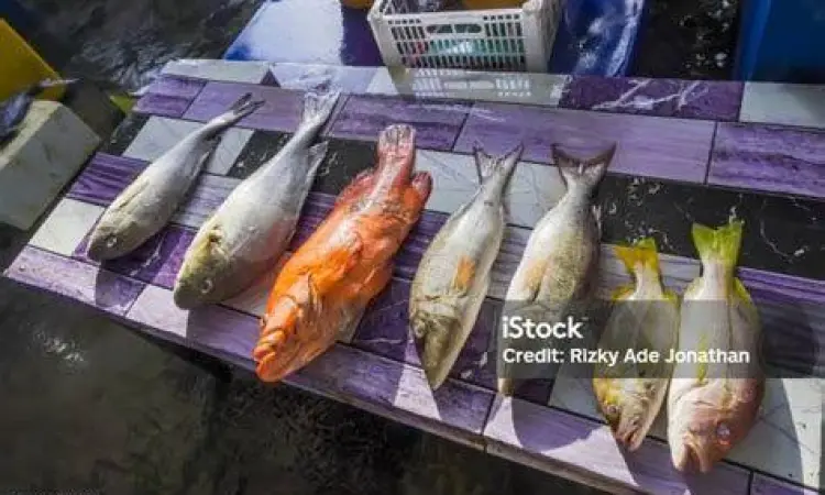 Aktivitas jual beli di pasar ikan terdekat yang bersih