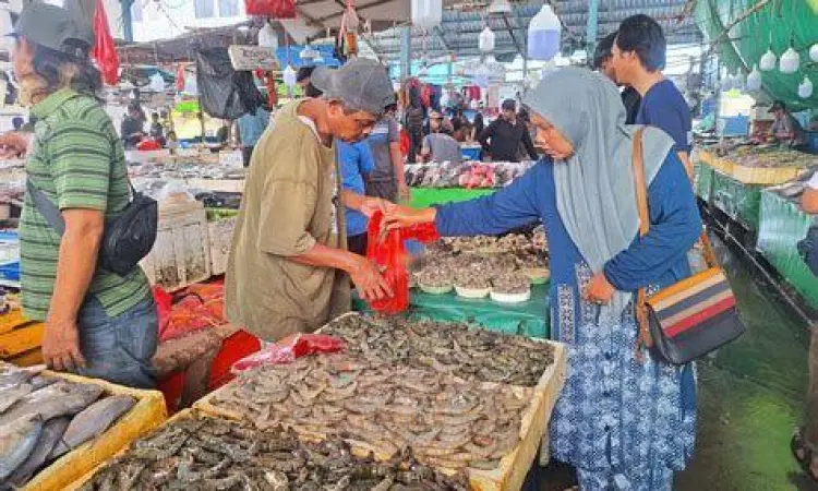 Cara mengecek kesegaran mata ikan di pasar