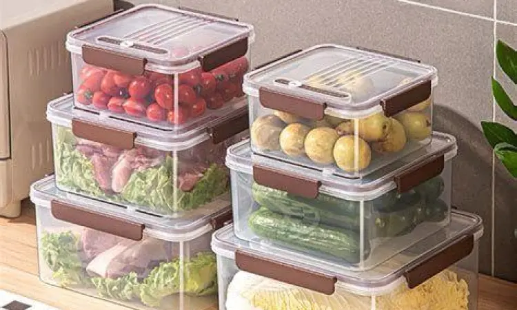 Ikan yang disimpan rapi di dalam wadah plastik