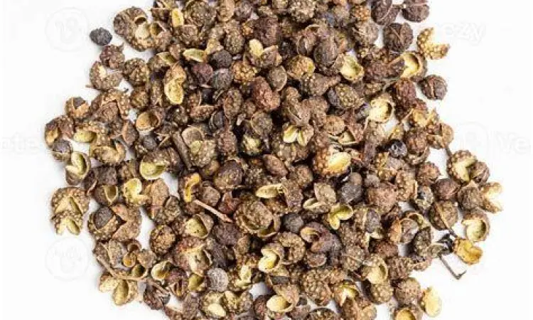 Lada Sichuan Khas Lada Sichuan yang memberikan efek kebas