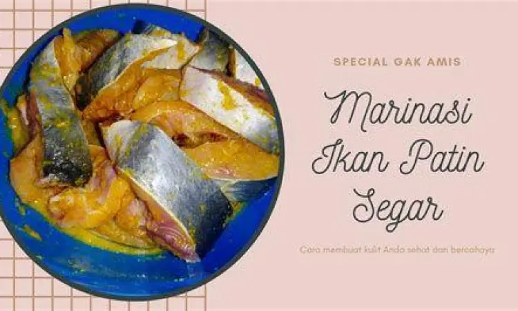 Proses Marinasi Ikan Patin Ikan patin sedang dimarinasi dengan bumbu kuning