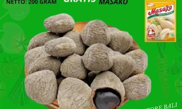 Biji kluwek hitam untuk bumbu rawon