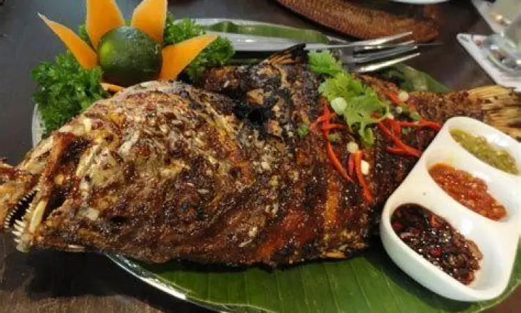 Seni Plating Ikan Bakar Plating ikan bakar profesional dengan garnish