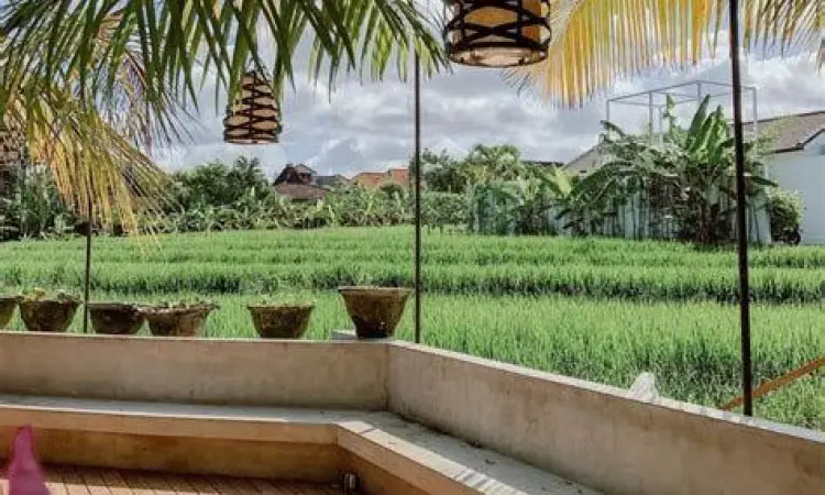 Pemandangan matahari terbenam dari area sawah Milu by Nook