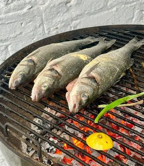 Pilihan Ikan Laut Segar Berbagai jenis ikan laut segar untuk dibakar