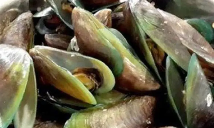 Kualitas Kerang Hijau Segar Memilih kerang hijau berkualitas di pasar ikan