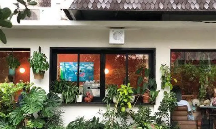 Cafe tersembunyi yang estetik di Jakarta Selatan