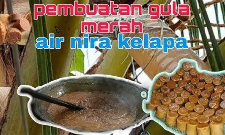 Proses perebusan gula merah dengan daun pandan