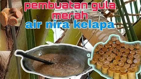 Larutan Gula Merah Proses perebusan gula merah dengan daun pandan