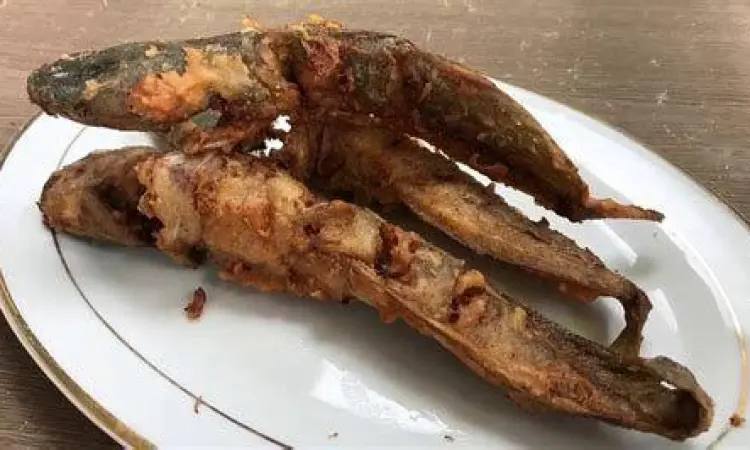 Teknik Menggoreng Lele Ikan lele di dalam wajan penggorengan