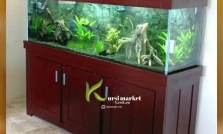 Habitat Ideal Arwana Setting aquarium arwana minimalis modern