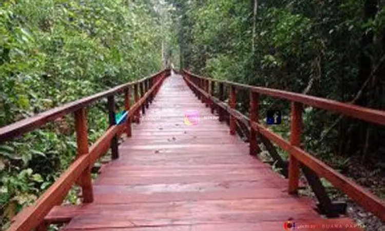 Pengunjung berjalan di jembatan kayu atas sawah