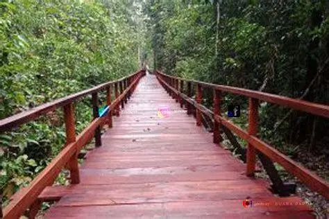 Spot Foto Resto Saung Sawah Pengunjung berjalan di jembatan kayu atas sawah