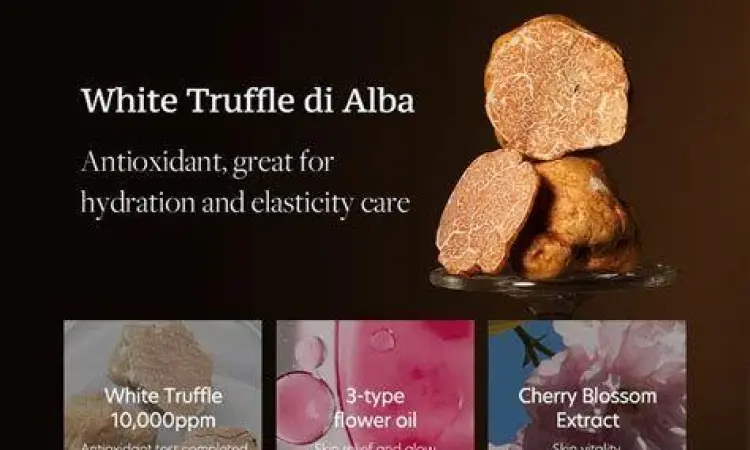 Truffle Putih Alba Irisan Truffle Putih di atas pasta mewah