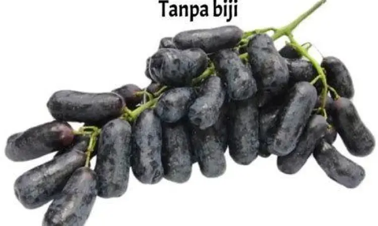 Tampilan dekat buah anggur hitam panjang yang renyah