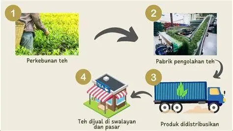 Proses Penyeduhan Teh Proses penyeduhan teh yang berkualitas untuk bisnis