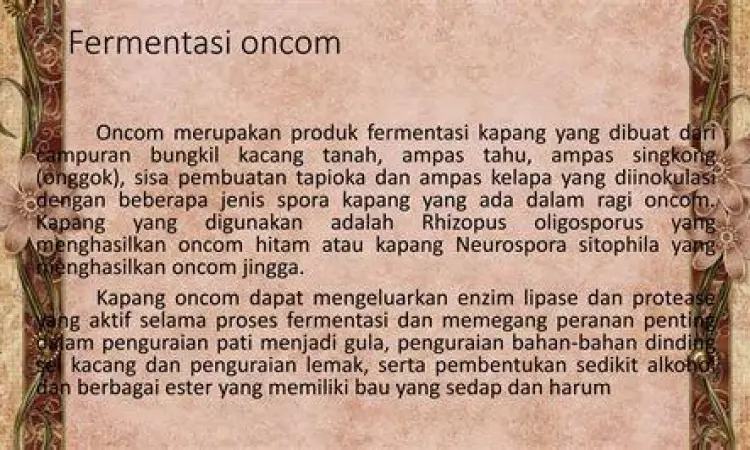 Inkubasi Oncom Proses fermentasi oncom di ruang inkubasi