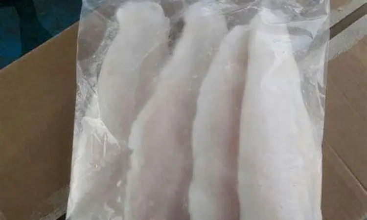 Ikan Dori Fillet Segar Fillet ikan dori beku berkualitas tinggi