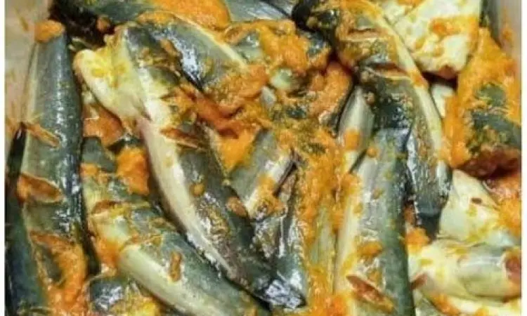Marinasi Ikan Lele Proses marinasi ikan lele dengan bumbu kuning