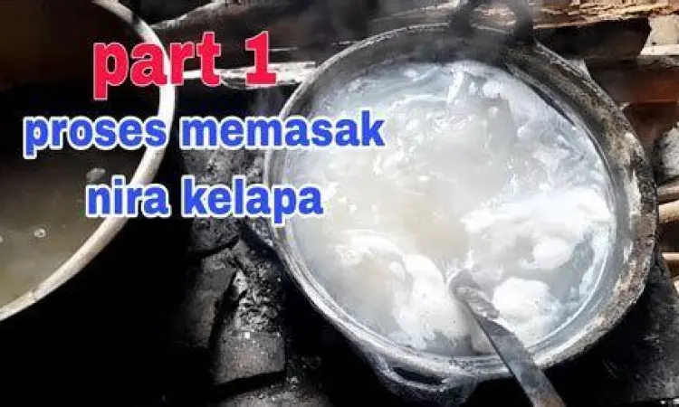 Proses Tradisional Gula Merah Proses pembuatan gula merah dari nira kelapa