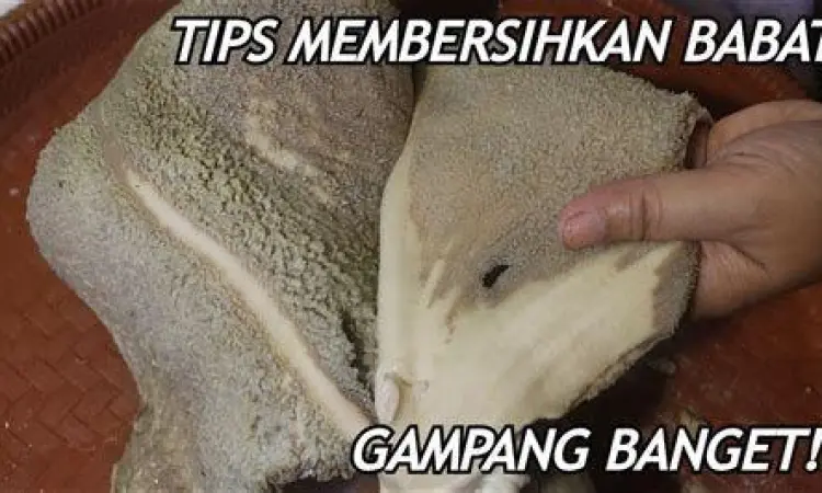 Pembersihan Babat Sapi Cara membersihkan babat sapi agar putih dan tidak bau