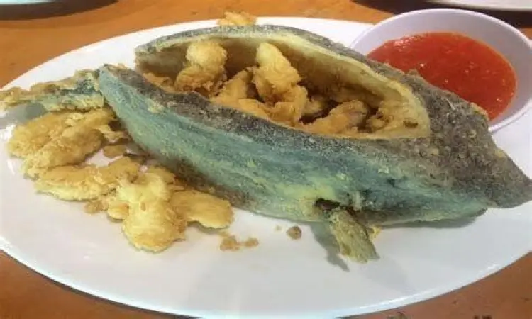 Teknik Mengolah Ikan Kudu Kudu Proses fillet daging ikan kudu kudu