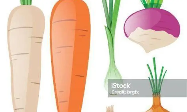 Wortel dan lobak sebagai representasi sayuran akar