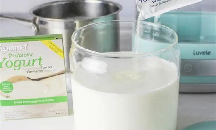 Bibit yogurt berkualitas dengan bakteri aktif