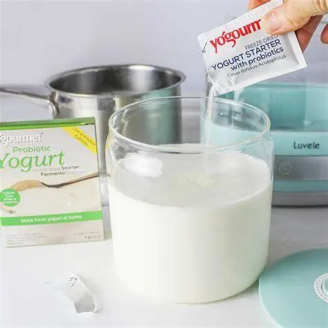 Starter Yogurt Bakteri Hidup Bibit yogurt berkualitas dengan bakteri aktif