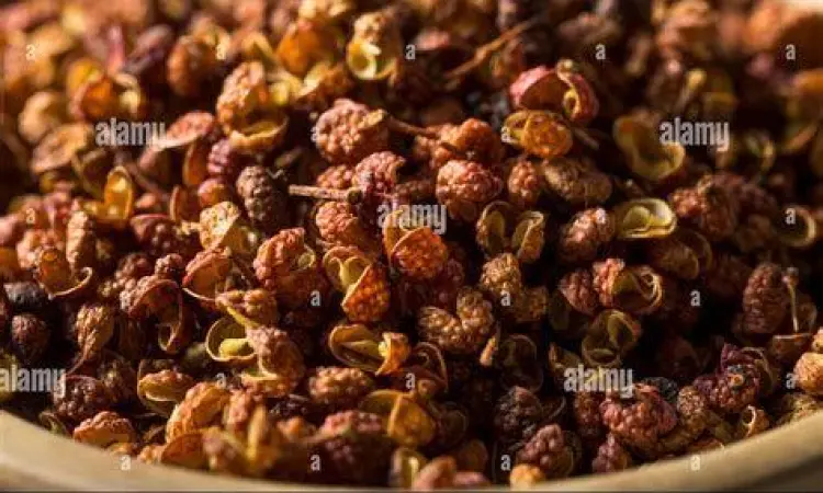 Biji merica szechuan merah berkualitas tinggi