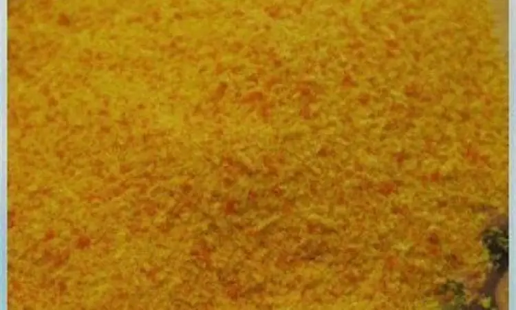 tepung roti panko untuk lapisan nugget