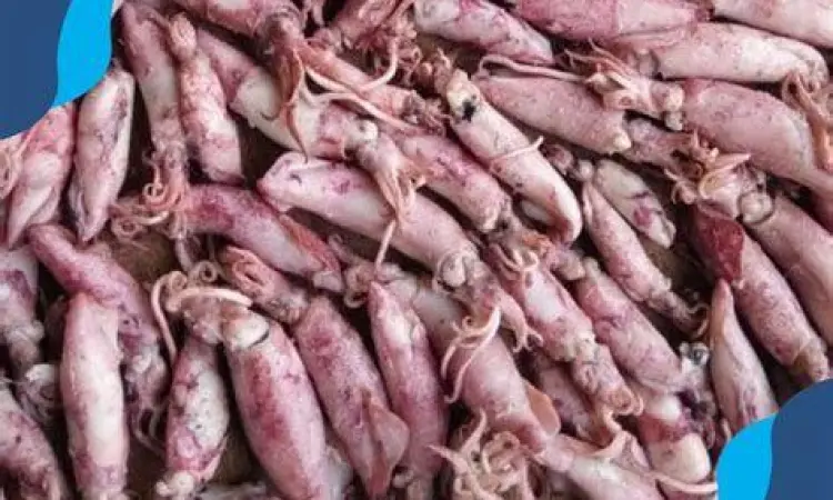 Cumi Asin Berkualitas cumi asin putih bersih kualitas ekspor