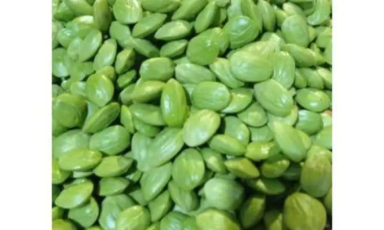 Pete Segar Berkualitas biji pete hijau segar berukuran besar