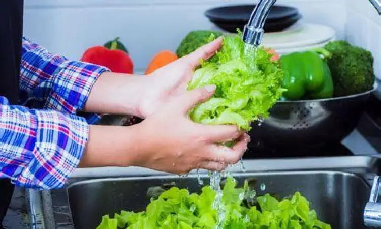 Proses pembersihan sayuran lalapan dengan air mengalir
