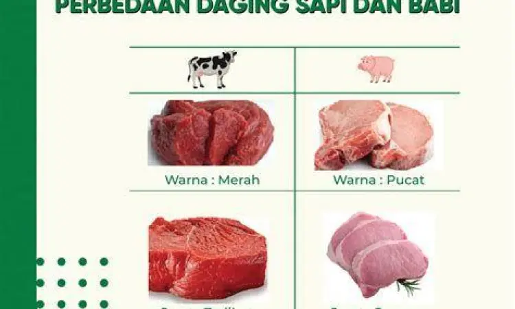 perbedaan gambar makanan haram daging babi dan sapi