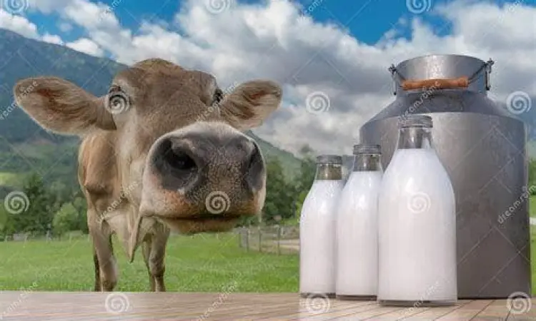 Susu Sapi Segar Tradisional botol susu sapi segar di peternakan