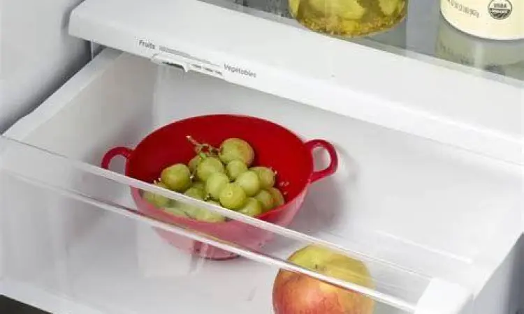 Penyimpanan Anggur yang Tepat Cara menyimpan anggur di dalam kulkas