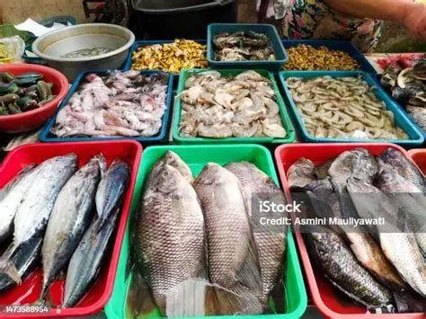 Ikan Segar Berkualitas Pilihan ikan segar di warung makan seafood
