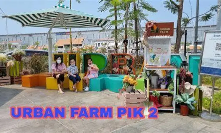 Area makan terbuka di Urban Farm PIK