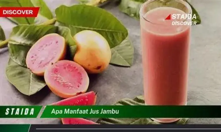 Ilustrasi sistem pencernaan sehat dengan buah