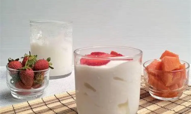 Bahan utama pembuatan yogurt rumahan