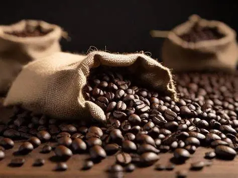 Biji Kopi Segar Biji kopi arabika segar yang baru disangrai