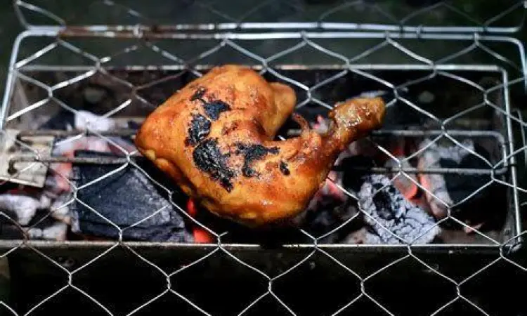 Teknik Membakar Ayam Tradisional Proses membakar ayam di atas bara arang kayu