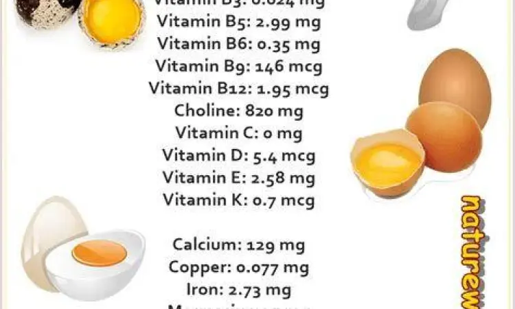 Tabel Nutrisi Telur Nutrisi dalam kuning telur